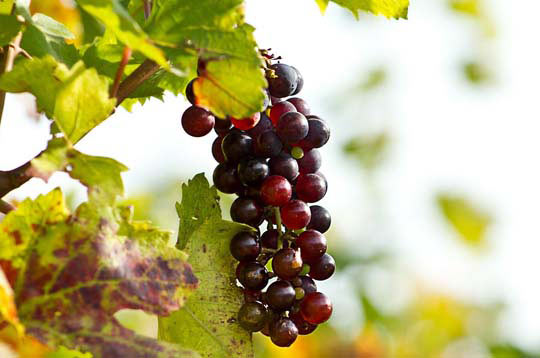 ddos在线压力测试平台